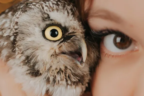 Casino Royal Winner Kundeservice